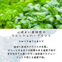 CANAL B BREATH トゥースペースト 80g 歯磨き粉 CA-007 1本（直送品）