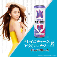 アサヒ飲料 レインストーム ハーベストグレープ 250ml 1箱（30缶入）