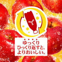 アサヒ飲料 三ツ矢特濃アップルスカッシュ 500ml 1セット（48本）