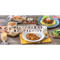 カレーパートナー 辛旨ペースト 1個 辛口 カレーに混ぜて味チェンジ カレーライス　ハウス食品