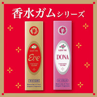 ガム 個包装  イブ　9枚 1セット（1個×6）