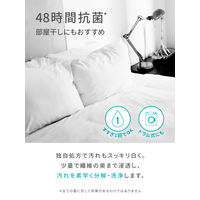 ランドリン クラシックフローラル 詰め替え 大容量 720g 1セット（1個×2） 衣料用洗剤　濃縮液体洗剤 ネイチャーラボ