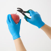 【使いきり手袋】 宇都宮製作 シンガー ニトリルFAB ブルー M NBR0453PFーBB 1セット（1箱(100枚)×5）