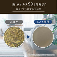 ファーファ ファインフレグランス ファブリックミスト オム クリスタルムスク 本体 300mL 1個 除菌 消臭