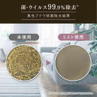 ファーファ ファインフレグランス ファブリックミスト シエル ウォーミングブーケ 本体 300mL 1個 除菌 消臭