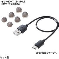 サンワサプライ 完全ワイヤレスヘッドセット MM-BTTWS003BK 1個（直送品）