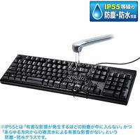 サンワサプライ 日本語109キーボード　抗菌防水防塵タイプ SKB-BS6BK 1個