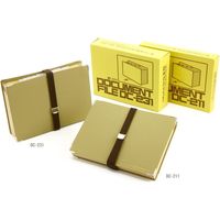 ライオン事務器 ドキュメントファイル A4 DC-211 15601 1冊