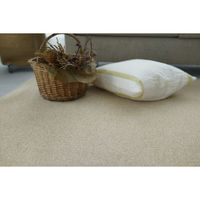 スミノエ コンシェルジュ エコロア100 防炎 ラグ ECR104 3500×4500mm ライトベージュ 1枚（直送品）