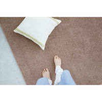 スミノエ コンシェルジュ エコロア100 防炎 ラグ ECR105 3500×4500mm ブラウン 1枚（直送品）