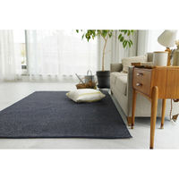 スミノエ コンシェルジュ エコロア100 防炎 ラグ ECR111 2000×2000mm ブルー 1枚（直送品）