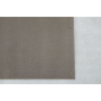 スミノエ コンシェルジュ LONGFORD 防炎 ラグ ロングフォード LGF5 3000×3500mm グレージュ 1枚（直送品）