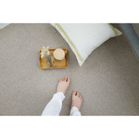 スミノエ コンシェルジュ ウールスコット プレーン 防炎 ラグ WS101 3500×4000mm アイボリー 1枚（直送品）