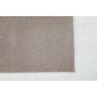 スミノエ コンシェルジュ ウールスコット プレーン 防炎 ラグ WS103 1400×2000mm ライトブラウン 1枚（直送品）