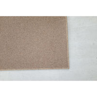 スミノエ コンシェルジュ ウールスコット プレーン 防炎 ラグ WS105 1000×1400mm キャメル 1枚（直送品）