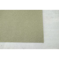 スミノエ コンシェルジュ ウールスコット プレーン 防炎 ラグ WS108 2500×2500mm グリーン 1枚（直送品）