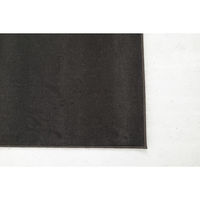 スミノエ コンシェルジュ WOOL REX 防炎 ラグ ウールレックス WR15 3000×3000mm チャコール 1枚（直送品）