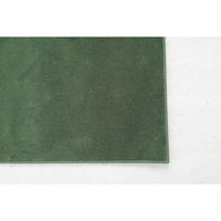 スミノエ コンシェルジュ WOOL REX 防炎 ラグ ウールレックス WR26 2500×3000mm ダークグリーン 1枚（直送品）