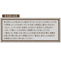 サンスター文具 命名紙A3 &mom/Disney(ディズニー) ベビープー S2074109 1セット(5セット)（直送品）