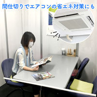 【飛沫防止】防炎・抗菌・・透明ビニールロールスクリーン幅55cm×高81～120cm trv003-55x120 1個 トーソー（直送品）