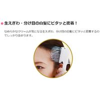 ダリヤ サロンドプロ　ザ・クリームヘアカラー（白髪用）　５ＳＡ　スモーキーアッシュ 4904651183135 1個×3点（直送品）