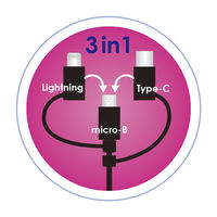 ナカバヤシ 3in1マルチケーブル ブラック 0.8m ZUH-LNCMBA208BK 1個（直送品）