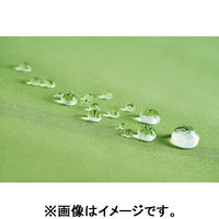 シューズセレクション ウォーターバリアポケフラット６０ｃｍ青 WBGK360UH-BL 12本（直送品）