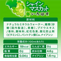 コカ・コーラ い・ろ・は・す シャインマスカット 540ml 1箱（24本入）