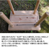 杉生 デタッチテーブル　ロータイプ DT-DT-L 1台（直送品）