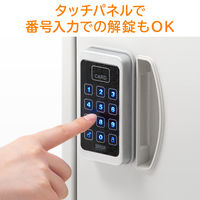 サンワサプライ 宅配ボックス(置き配・大容量・50リットル・カード式解錠) 300-DLBOX013 1台（直送品）