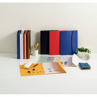 ライオン事務器 ホルダー用ブック〈ビジカル〉 A4S 4ポケット レッド(赤) HB-313B 12970 1セット(5冊)（直送品）