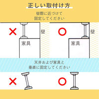 ライオン事務器 転倒防止金具 固定ポール 使用可能サイズ:L310~500mm EP-50 47794 1本
