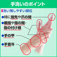 クリーン＆クリーンX7 2L 1個 花王