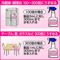 クリンキーパー 5L 1箱（2個入） 花王