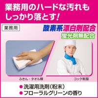 ビック 除菌プラス 2.5kg 1セット（3個） 花王