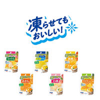 パウチ 朝からフルーツ ミックス 使い切り 95g 1セット（10個） はごろもフーズ