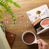 片岡物産 バンホーテンの腸活ココア 1セット（160g×3袋）