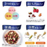 素材まるごとグラノラ 糖質オフ チョコ＆ラズベリー 340g 6袋 日本ケロッグ グラノーラ