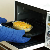 HARIO 耐熱ガラス製 グラタン皿 2個セット HGZO-1812 1個（直送品）