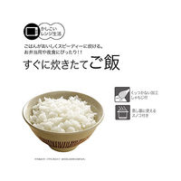 スケーター ご飯メーカー（スノコ付き蒸し器対応） 1合炊き ベーシック UDG1 1個（直送品）