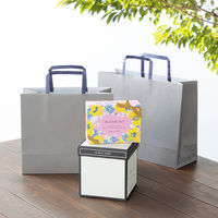 アスクルカタログリサイクル紙袋「Come bag/カムバッグ」平紐 260×230×120mm 1箱（300枚） オリジナル