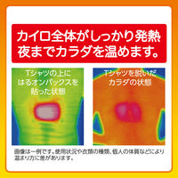 使い捨てカイロ エステー はるオンパックスミニ  ミニサイズ　 衣類に貼るカイロ 10時間用 （480個：10個入り×48箱）