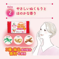 桐灰 命の母カイロ 衣類に貼るタイプ ぬくもりとほのかな香りで心落ち着く 10個入 1ケース（240個：10個入り×24パック） 小林製薬