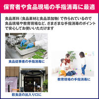 サラヤ アルペット手指消毒用α 5L 4987696412385 1本