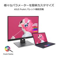 ASUS 24.1インチ ワイド液晶モニタ- PA248QV 1台