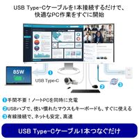 EIZO 37.5インチウルトラワイドモニタ- EV3895-BK 上下昇降機能 1台