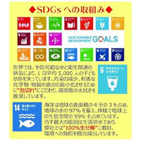 ドーイチ あっ!とクリーンプロ業務用クリーナー浴室 2L 094335 1個