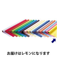 ゴークラ 色画用紙 ジャンボロールR 10m巻 レモン 1巻 JR319