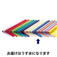 ゴークラ 色画用紙 ジャンボロールR 10m巻 うす水 1巻 JR110