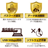 センチュリー セキュリティ機能搭載 32GB USBメモリ LOCKU-32G 1個
